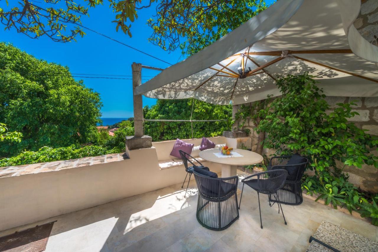 Villa Flores Garden Dubrovnik Extérieur photo