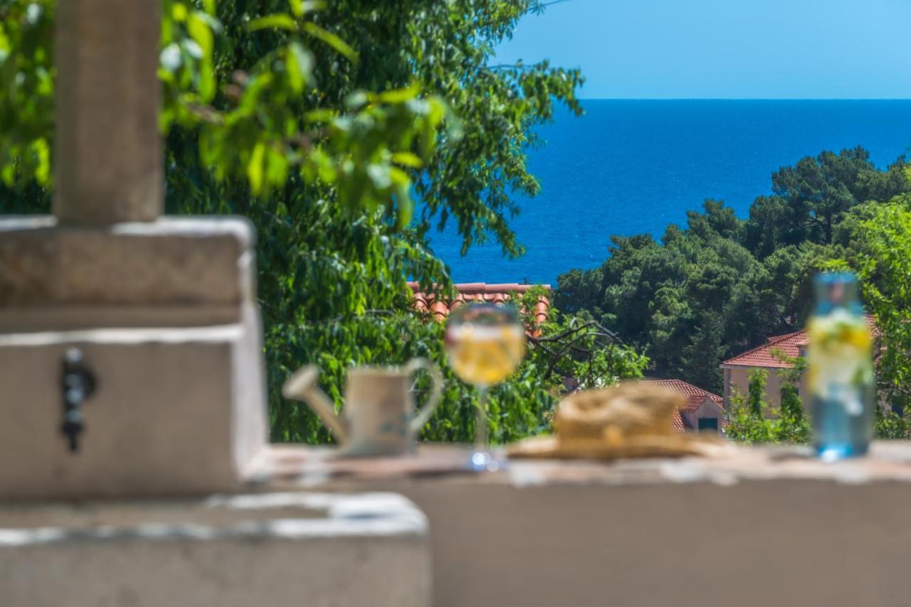 Villa Flores Garden Dubrovnik Extérieur photo