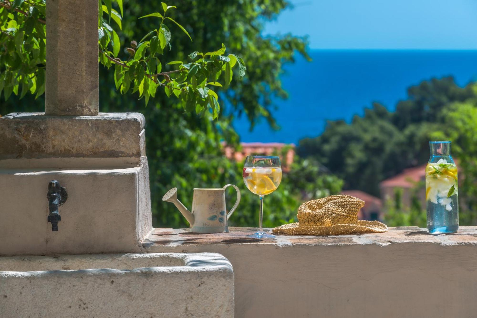 Villa Flores Garden Dubrovnik Extérieur photo